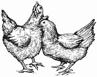 Die fünf Hühnerchen, Пять курочек