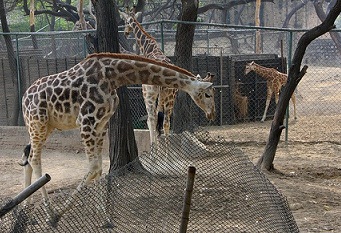 Делийский зоопарк