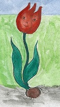 Тюльпан / Die Tulpe